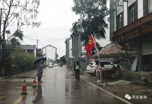 平乐同安镇桃村,平乐同安镇风水布局