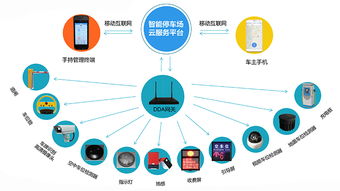 马马们：炎热血沸腾的奔跑者