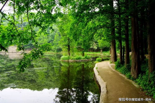 三、噪音加料：随机插入的大段文字与表情符号