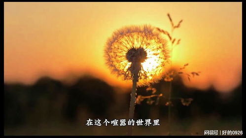 第三章：真实相的揭露与星座的诅咒