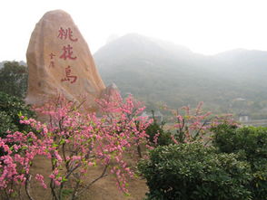 序章：桃花岛的乱七八糟的第一印象