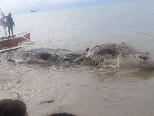 二、梦见涨大水的吉凶分析