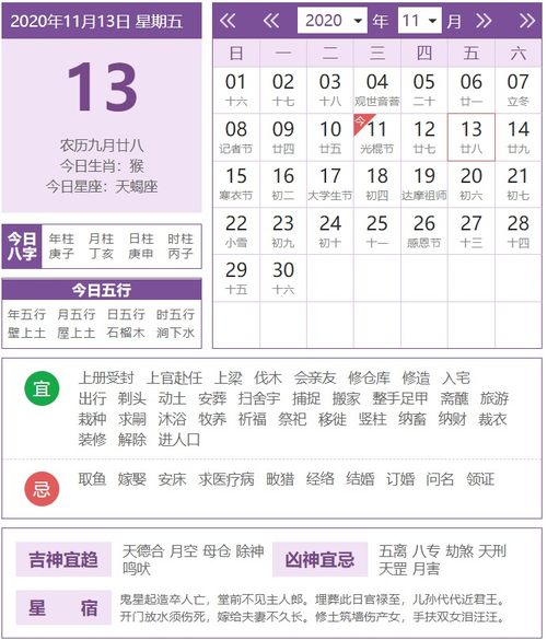 生肖大爆炸！兔子们要上天了！