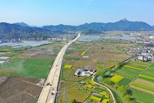 1. 海口市区