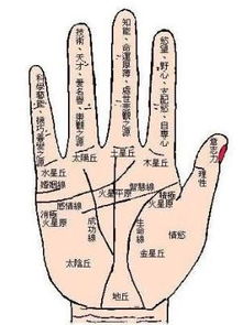 女人手相看嫁入豪门和财运如何？
