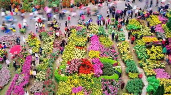 风水公司遍地开花
