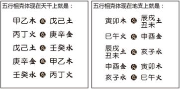 如何下载实战贴图解析八字算命？