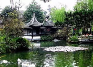 中午：野餐 & 休息 (吃饱喝足彳艮重要!)