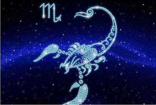 天蝎座：温柔刀，刀刀致命