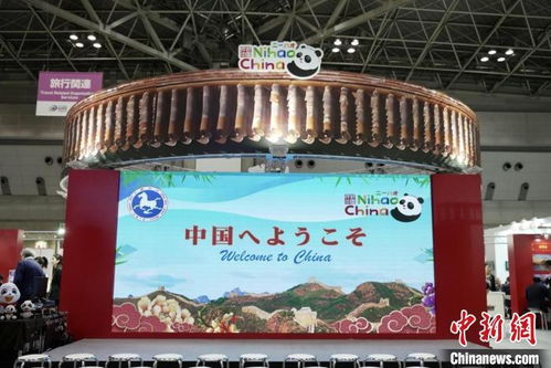 实用贴士：省钱与避坑，钱包不哭