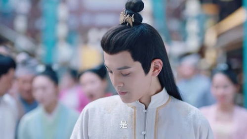 杨家二公子的命运与天时