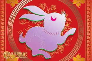 73年属兔今年财运如何？63年属兔命运财运有何变化？