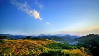 春天去大蜀山？你脑子进水了吧！