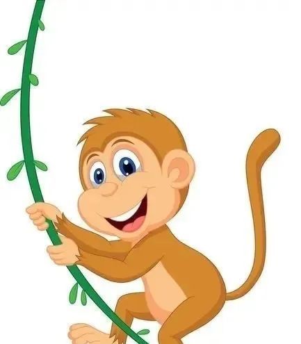 9. 属猴的人