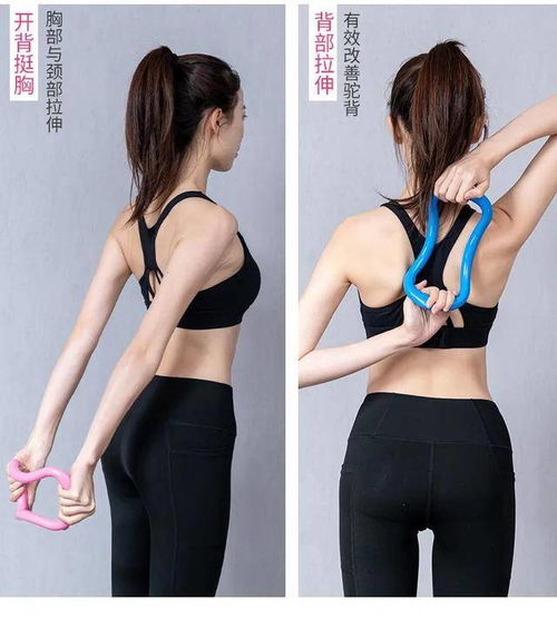 四、 腰腹的秘密：聚财的宝库
