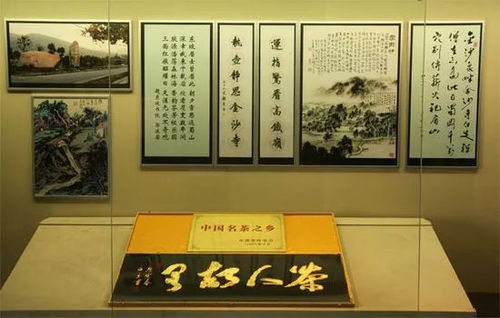 兰亭门票便宜到爆炸？小心被坑惨！2026年去绍兴必看这篇