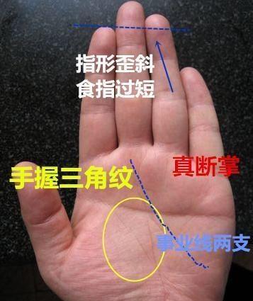 食指与中指之间的距离较远的人：