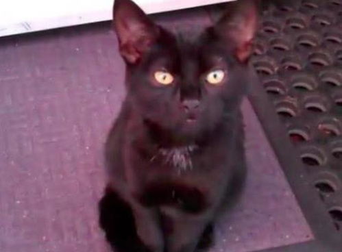 窗外作文与风水格局