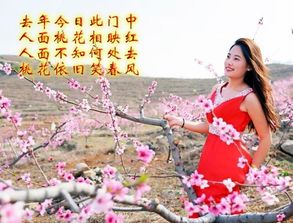 一、 命逢桃花运时是结婚的最佳时机