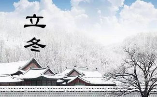 2）立冬之日起较大风， 冬水田里种较小麦