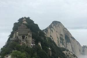 价格套路深似海：旺季淡季差得离谱