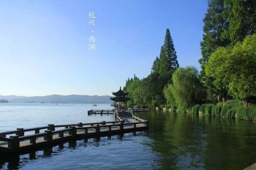 西湖的「奇葩」十景