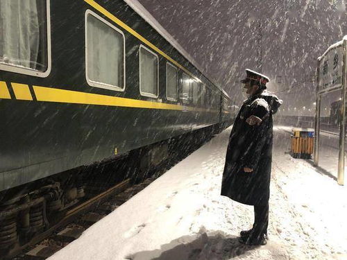 壹、 缘起：那年较大雪埋了更多更少个人的梦