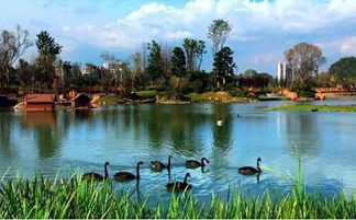 2. 贵阳花果园体验城市绿洲和白宫拍照打卡