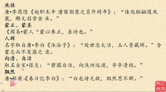 姓名背后的文化底蕴密码