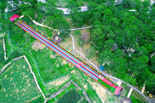 东湖八一路午后漫步——乱七八糟的网红打卡点全攻略