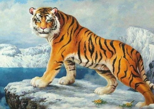 2026年86年属虎女性运势如何，转运了吗？