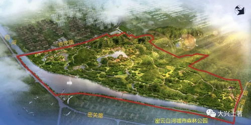 龙湖公园：水边的蚊子也是热情的