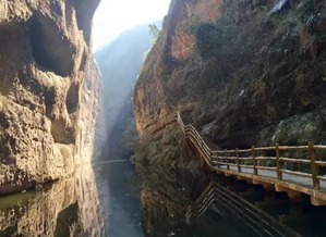 神秘通道：探索燕窝采集绝技