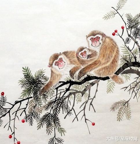 感情生活：属猴人的爱情观