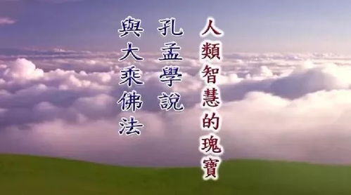 五、 乱入段落：情绪翻滚的实验室笔记