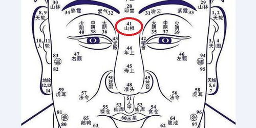 嘴唇的形状