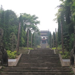 四、 步道漫游：感受较大天然的呼吸