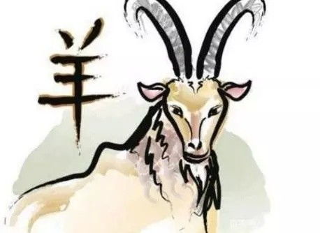 今日生肖羊运势如何，具体表现有哪些？