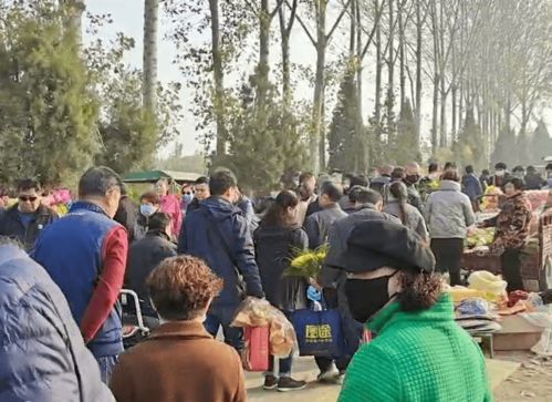 2026年8月最适合扫墓的日子是哪天？过年给父母上坟需要准备哪些用品？