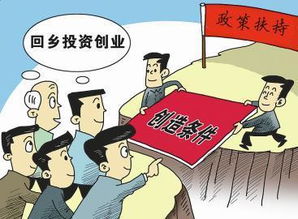 回农村创业Zuo什么好,自己回农村创业dou干啥挣钱