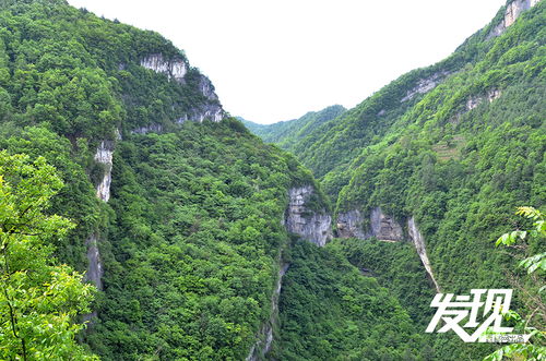 噪声片段 1：组图推荐9：