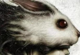 国学智慧中的“君子不立危墙之下”