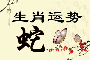 情感世界与人际关系