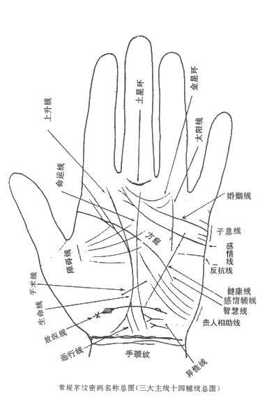 二、感情线（恋爱线）的大致走向——到底是锁链还是断裂？