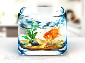 鱼缸养草对家居风水有影响吗？这是否会影响家庭运势和居住环境？