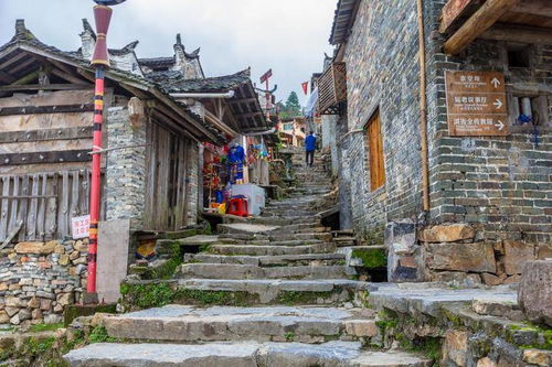 二、 西安古韵：诗意盎然的古都之旅