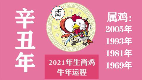 麦玲玲2026年属鸡运势中，生肖马佩戴饰物有何特殊寓意？