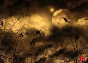 奇怪的味道：檀香与腐臭