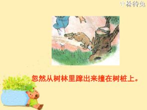守株待兔的村庄