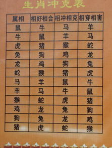 八字属猴与属猴婚配会有哪些特别情况？简单属猴婚配会有哪些独特现象？